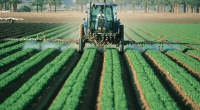 Le COVID ne justifie pas d’épandre des pesticides au ras des habitations
