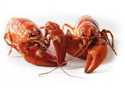 Produits de la mer La moitié des établissements en infraction