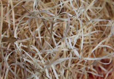 Rénovation énergétique : Bientôt un « prêt avance rénovation »